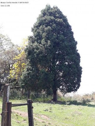 Imagem Imóvel com 2 Quartos à Venda, 200 m² em Cesario Lange - Cesario Lange Imagem Imóvel com 2 Quartos à Venda, 200 m² em Cesario Lange - Cesario Lange