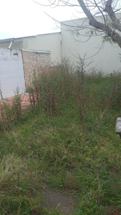 Imagem Casa com 3 Quartos à Venda, 360 m² em Curumim - Capão Da Canoa