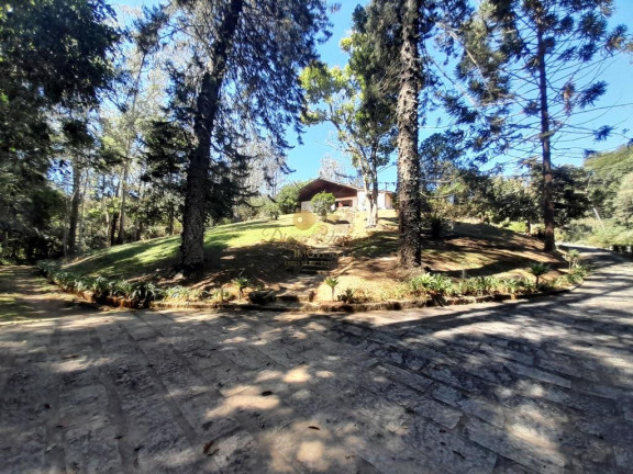 Imagem Chácara com 7 Quartos à Venda, 16.360 m² em Granja Florestal - Teresópolis Imagem Chácara com 7 Quartos à Venda, 16.360 m² em Granja Florestal - Teresópolis