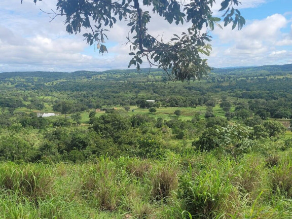 Imagem Fazenda à Venda, 52 m² em Zona Rural - Goiás Imagem Fazenda à Venda, 52 m² em Zona Rural - Goiás