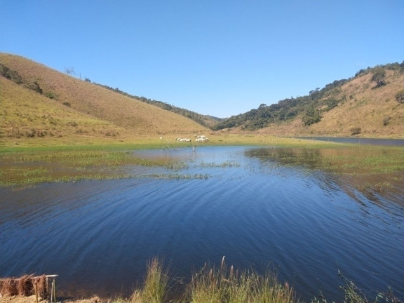 Imagem Fazenda à Venda, 90 m² em Centro - São Luíz Do Paraitinga