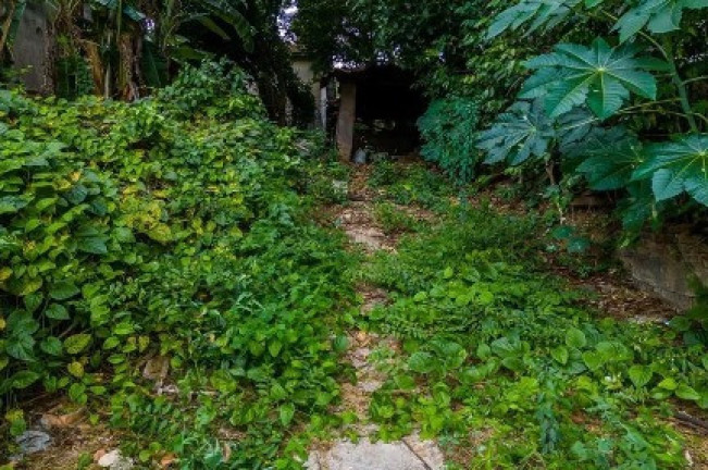 Imagem Terreno à Venda, em Piqueri - São Paulo Imagem Terreno à Venda, em Piqueri - São Paulo