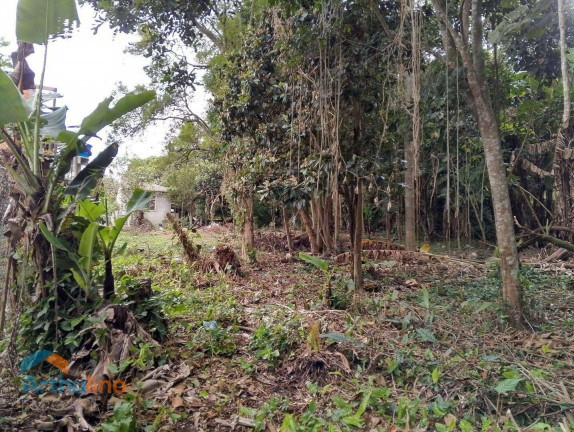 Imagem Imóvel à Venda, 4.000 m² em Itapecerica Da Serra - Itapecerica Da Serra Imagem Imóvel à Venda, 4.000 m² em Itapecerica Da Serra - Itapecerica Da Serra