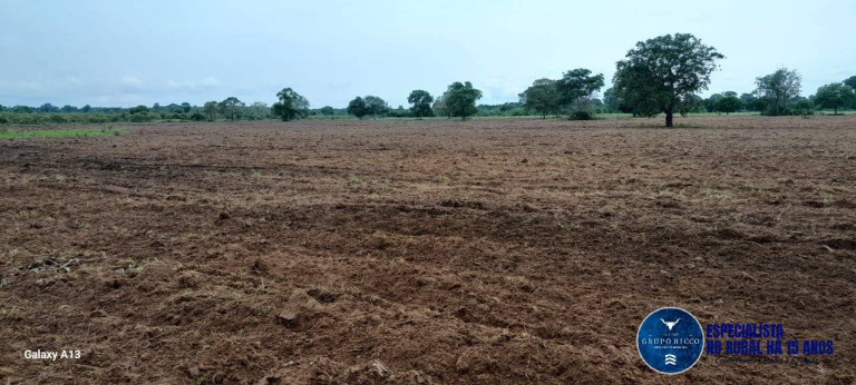 Imagem Fazenda à Venda, 114 m² em Zona Rural - Araguaiana Imagem Fazenda à Venda, 114 m² em Zona Rural - Araguaiana