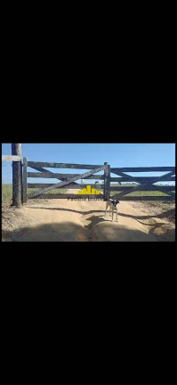 Imagem Fazenda à Venda, 67 m² em Rural - Itapetininga Imagem Fazenda à Venda, 67 m² em Rural - Itapetininga