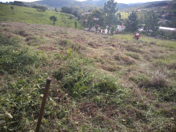 Imagem Terreno à Venda, 2.000 m² em Alpes Paulista (mailasqui) - São Roque