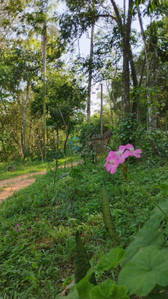 Chácara à Venda, 4 m² em Estrada Arroio Passo Fundo - Gravataí