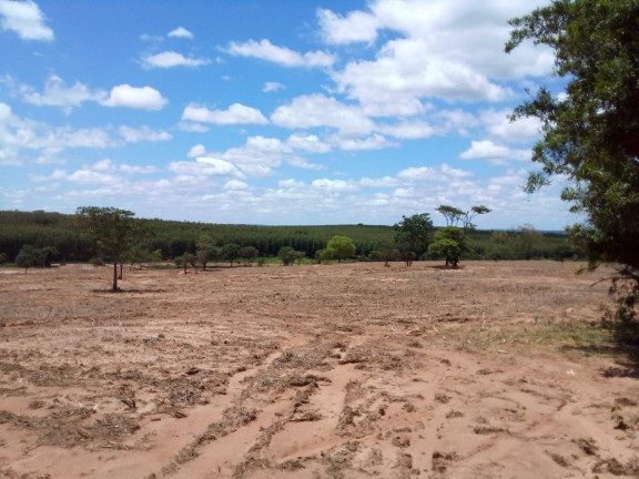 Imagem Fazenda à Venda, 32 m² em Rural - Bauru Imagem Fazenda à Venda, 32 m² em Rural - Bauru