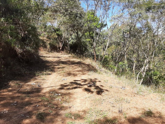Imagem Fazenda à Venda, 200 m² em Canaã I - Jambeiro Imagem Fazenda à Venda, 200 m² em Canaã I - Jambeiro