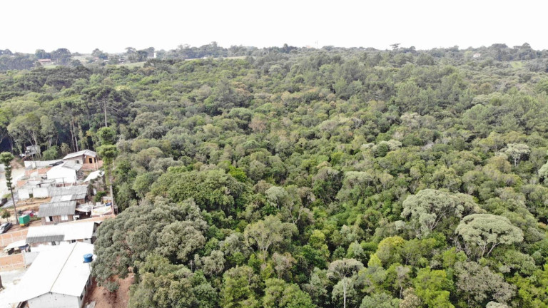 Imagem Terreno à Venda, 19.600 m² em Colônia Faria - Colombo