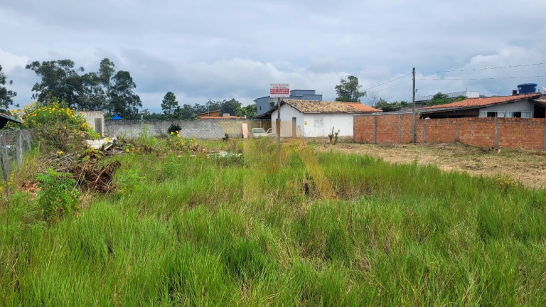 Imagem Terreno à Venda, em Campo Duna - Imbituba Imagem Terreno à Venda, em Campo Duna - Imbituba