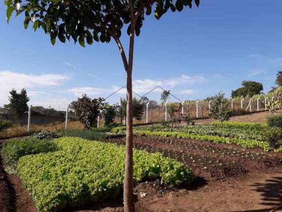 Imagem Terreno à Venda, 1.500 m² em Parque Santa Julieta - Santa Cruz Da Conceição Imagem Terreno à Venda, 1.500 m² em Parque Santa Julieta - Santa Cruz Da Conceição