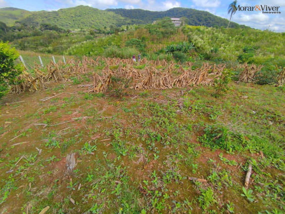 Imagem Chácara à Venda, 3.000 m² em Campestre Da Faxina - São José Dos Pinhais