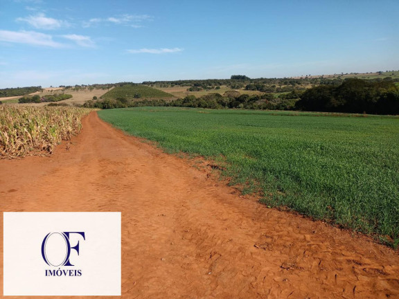Imagem Fazenda à Venda, 91 m² em Rural - Avaré