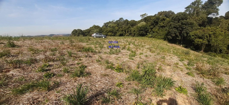 Imagem Imóvel com 1 Quarto à Venda, 20.000 m² em Rural - Mariental Imagem Imóvel com 1 Quarto à Venda, 20.000 m² em Rural - Mariental
