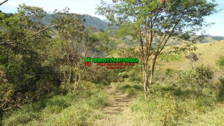 Imagem Chácara à Venda, 72.600 m² em São Francisco Xavier - São José Dos Campos Imagem Chácara à Venda, 72.600 m² em São Francisco Xavier - São José Dos Campos