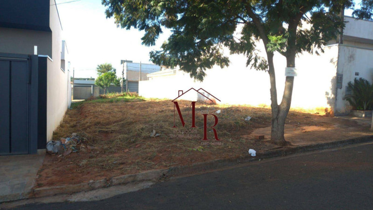 Imagem Terreno à Venda, 180 m² em Jardim Das Carobeiras - Votuporanga Imagem Terreno à Venda, 180 m² em Jardim Das Carobeiras - Votuporanga