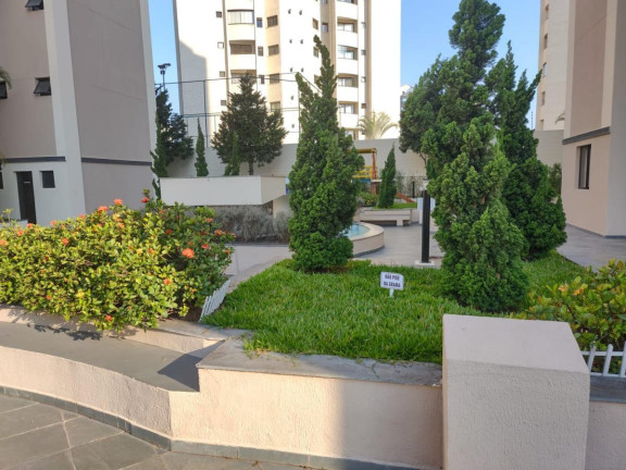 Imagem Apartamento com 3 Quartos à Venda, 70 m² em Vila Monumento - São Paulo