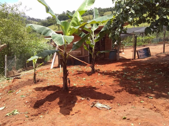 Imagem Chácara com 4 Quartos à Venda, 100 m² em Centro - São Luíz Do Paraitinga Imagem Chácara com 4 Quartos à Venda, 100 m² em Centro - São Luíz Do Paraitinga