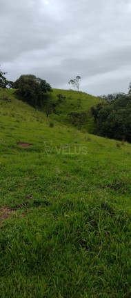 Imagem Imóvel à Venda,  em Tatetu - Alambari