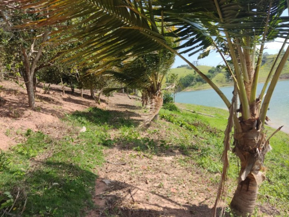 Imagem Imóvel com 3 Quartos à Venda, 120 m² em Bairro Do Macaco - Paraibuna Imagem Imóvel com 3 Quartos à Venda, 120 m² em Bairro Do Macaco - Paraibuna