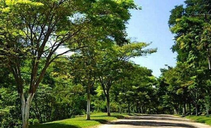 Imagem Terreno em Condomínio à Venda, 700 m² em Condomínio Capital Ville - Cajamar Imagem Terreno em Condomínio à Venda, 700 m² em Condomínio Capital Ville - Cajamar
