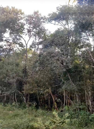 Imagem Fazenda à Venda, 9 m² em São João Da Boa Vista Imagem Fazenda à Venda, 9 m² em São João Da Boa Vista