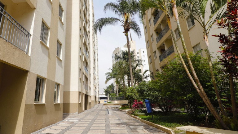 Imagem Apartamento com 2 Quartos à Venda, 56 m² em Vila Guilherme - São Paulo Imagem Apartamento com 2 Quartos à Venda, 56 m² em Vila Guilherme - São Paulo