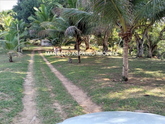 Imagem Imóvel com 3 Quartos à Venda, em Carobeira - Ilhéus Imagem Imóvel com 3 Quartos à Venda, em Carobeira - Ilhéus