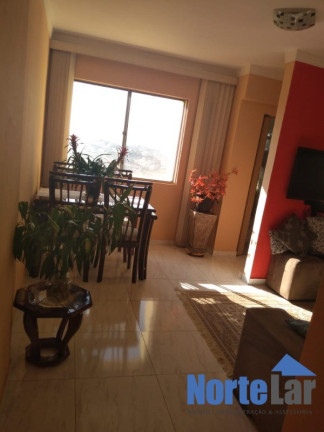 Imagem Apartamento com 2 Quartos à Venda, 55 m² em Parque São Luís - São Paulo Imagem Apartamento com 2 Quartos à Venda, 55 m² em Parque São Luís - São Paulo