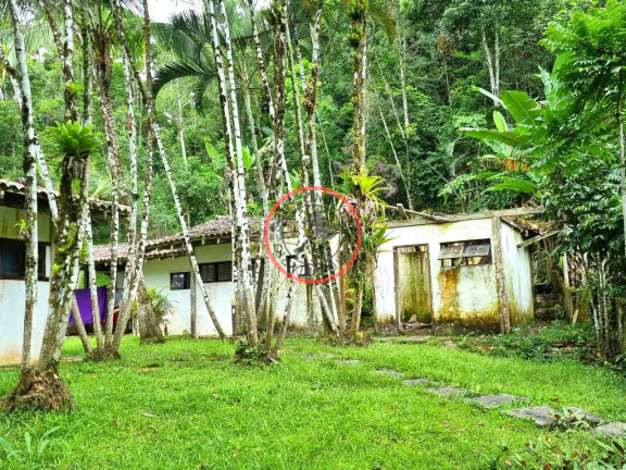 Imagem Casa com 3 Quartos à Venda, 1.000 m² em Boiçucanga - São Sebastião Imagem Casa com 3 Quartos à Venda, 1.000 m² em Boiçucanga - São Sebastião