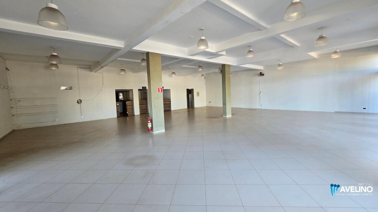 Casa com 1 Quarto para Alugar, 800 m² em Vila São Francisco - Dourados