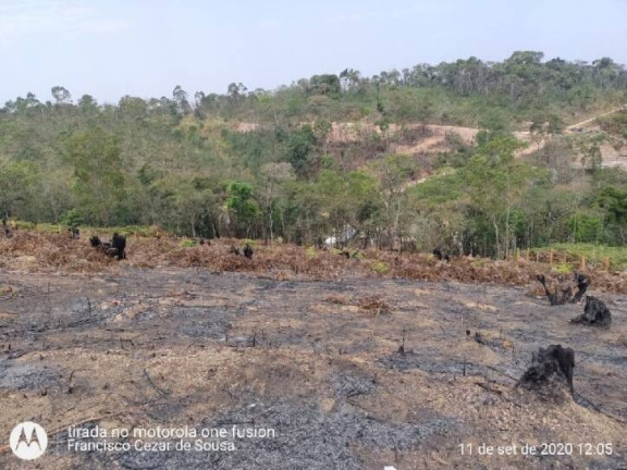 Imagem Terreno à Venda, 5.000 m² em Vale Das Castanheiras - Campo Limpo Paulista Imagem Terreno à Venda, 5.000 m² em Vale Das Castanheiras - Campo Limpo Paulista