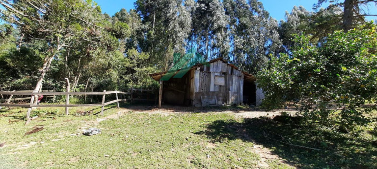 Imagem Chácara com 2 Quartos à Venda, 60 m² em Serra Do Araçatuba - Tijucas Do Sul Imagem Chácara com 2 Quartos à Venda, 60 m² em Serra Do Araçatuba - Tijucas Do Sul