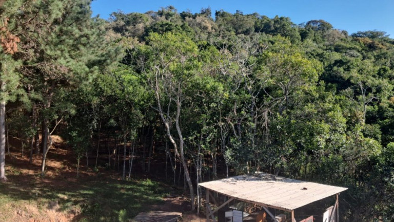 Imagem Imóvel com 6 Quartos à Venda, 151 m² em Central - Glorinha