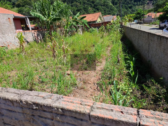 Imagem Terreno à Venda, 261 m² em Jardim Santo Antonio - Tomazina