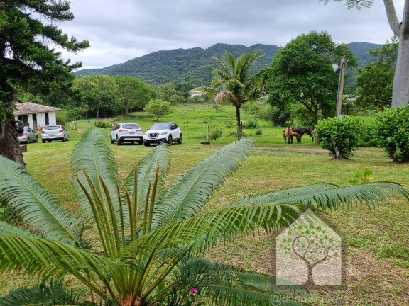 Imagem Imóvel com 3 Quartos à Venda, 12.272 m² em Vargem Grande - Florianópolis Imagem Imóvel com 3 Quartos à Venda, 12.272 m² em Vargem Grande - Florianópolis