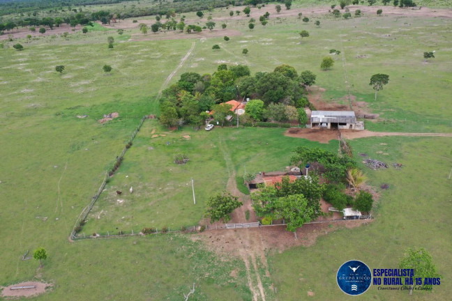 Imagem Fazenda à Venda, 1 m² em Zona Rural - Araguaiana Imagem Fazenda à Venda, 1 m² em Zona Rural - Araguaiana