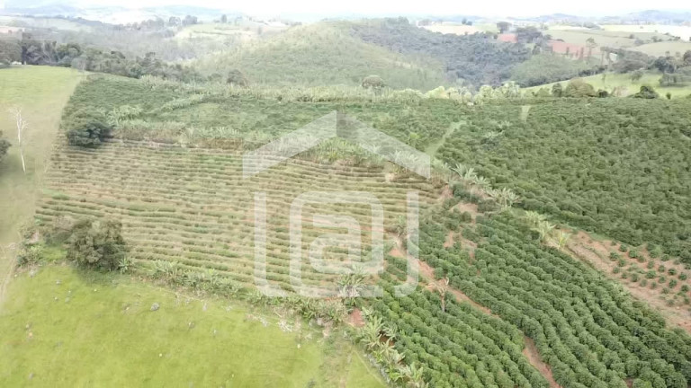 Imagem Imóvel com 4 Quartos à Venda, 120 m² em Santana De Caldas - Caldas Imagem Imóvel com 4 Quartos à Venda, 120 m² em Santana De Caldas - Caldas