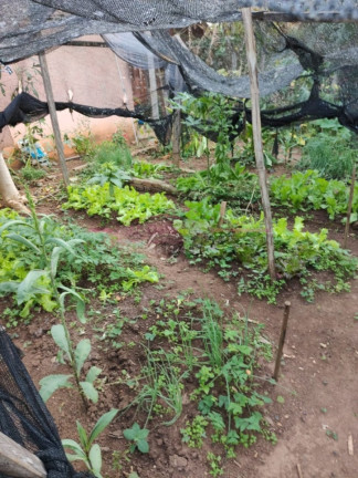 Imagem Chácara com 3 Quartos à Venda, 100 m² em Santo Antonio - Boituva