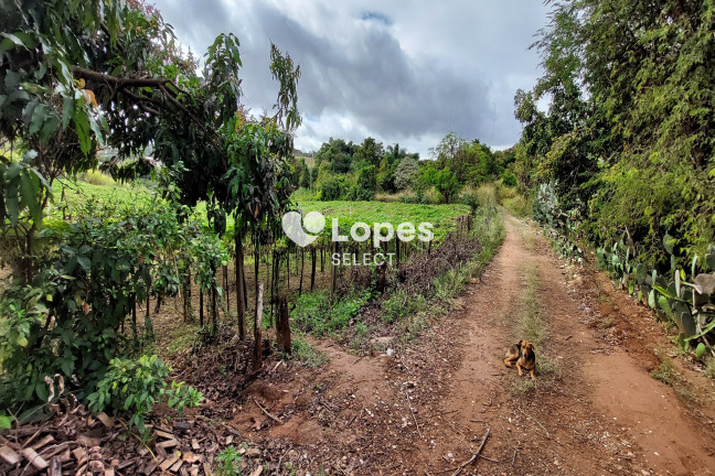 Imagem Imóvel com 1 Quarto à Venda, 43.000 m² em Parque Eldorado - Campinas Imagem Imóvel com 1 Quarto à Venda, 43.000 m² em Parque Eldorado - Campinas