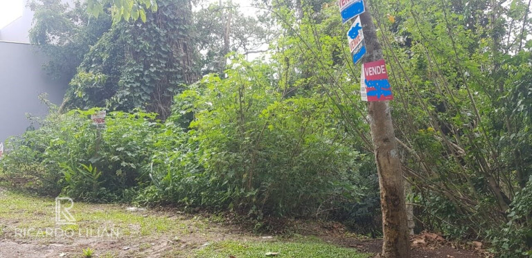 Imagem Terreno à Venda, 2.000 m² em Centro - Mairiporã