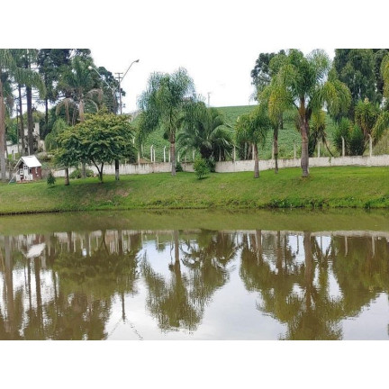Imagem Imóvel com 4 Quartos à Venda, 133.100 m² em Contenda - Contenda Imagem Imóvel com 4 Quartos à Venda, 133.100 m² em Contenda - Contenda