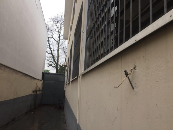 Imagem Imóvel Comercial para Alugar, 360 m² em Vila Gea - São Paulo