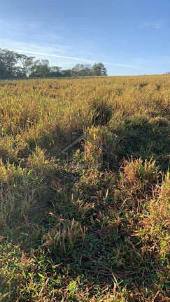 Imagem Fazenda à Venda, 1.452.000 m² em Centro - Timburi Imagem Fazenda à Venda, 1.452.000 m² em Centro - Timburi