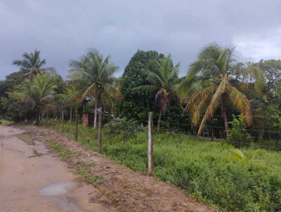 Imagem Chácara com 3 Quartos à Venda, 6.000 m² em Conde Imagem Chácara com 3 Quartos à Venda, 6.000 m² em Conde