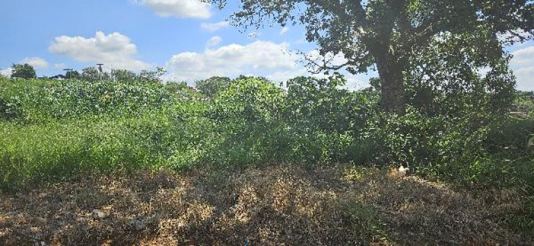 Imagem Terreno à Venda, 250 m² em Jardim Santa Rita De Cassia - Capivari Imagem Terreno à Venda, 250 m² em Jardim Santa Rita De Cassia - Capivari
