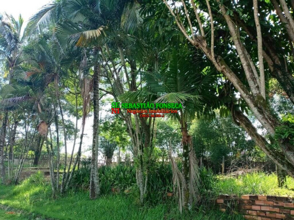 Imagem Chácara com 6 Quartos à Venda, 200 m² em Boa Vista - Caçapava Imagem Chácara com 6 Quartos à Venda, 200 m² em Boa Vista - Caçapava