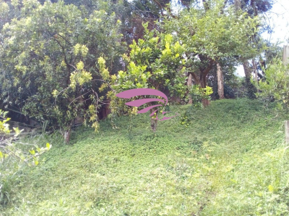 Imagem Casa com 3 Quartos à Venda, 70 m² em Guabirotuba - Curitiba Imagem Casa com 3 Quartos à Venda, 70 m² em Guabirotuba - Curitiba