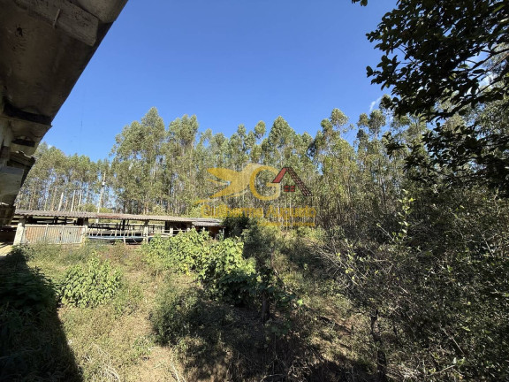 Imagem Chácara com 3 Quartos para Alugar, 30 m² em Morro Grande - São João Del Rei Imagem Chácara com 3 Quartos para Alugar, 30 m² em Morro Grande - São João Del Rei